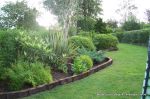 Mature architectural planting supplied and installed