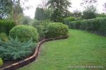 Mature architectural planting supplied and installed