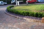 Topiary hedging installed