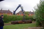 Before: We delivered the oak trunk to a school nursery and had it craned into the grounds   