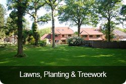 Lawns, Planting & Treework