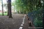 AFTER: Stepping sandstone path installed with lighting and irrigation to create a pleasant walk within the grounds