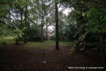 BEFORE: The grounds were overgrown with laurels, diseased trees and shrub it was very dark and gloomy  